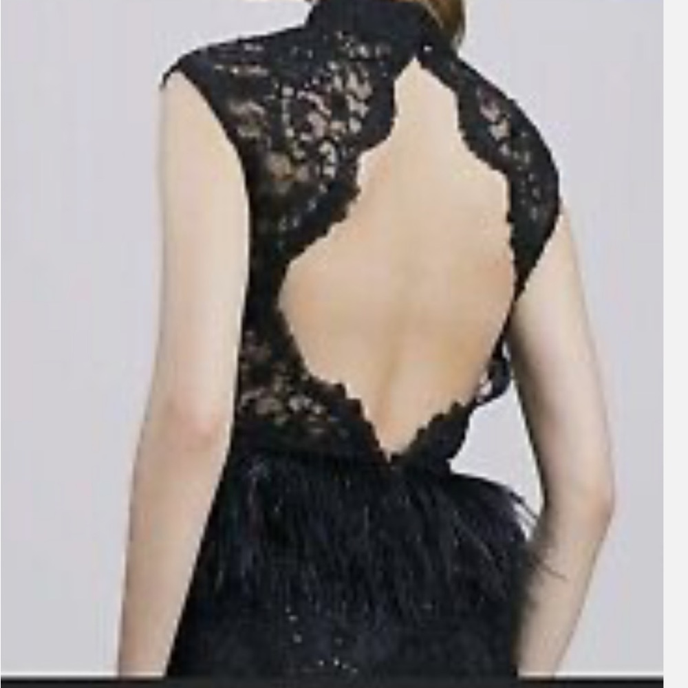 Alice & Olivia Beaded Gown W/ostrich Feather Detail size 4